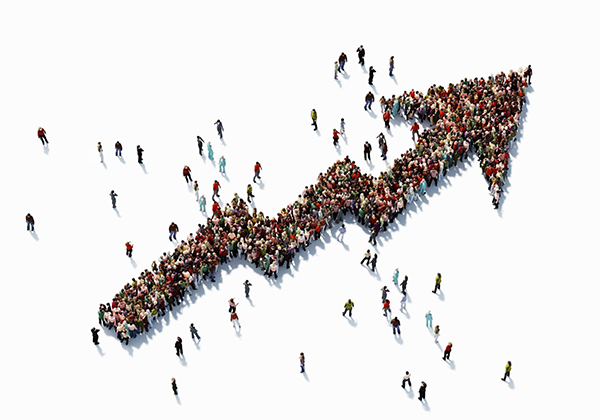 Monthly NCB & LC Data